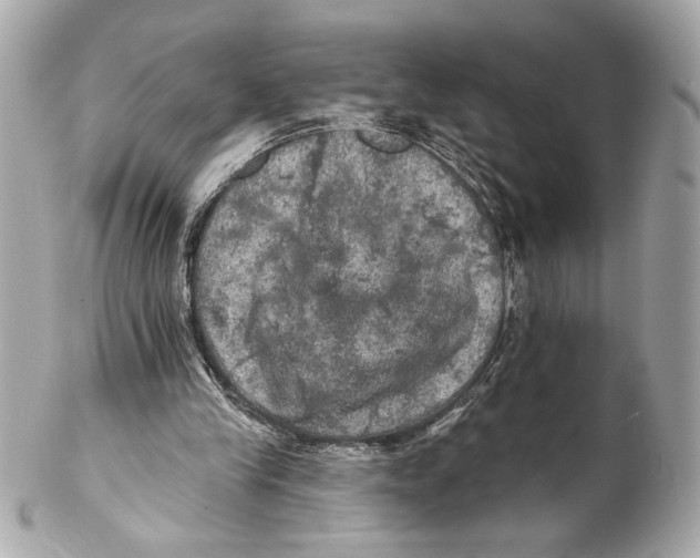 X0000102240245200808151800