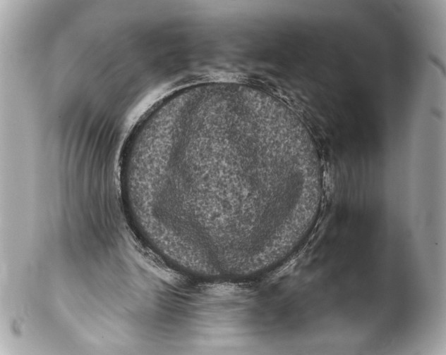 X0000102240246200808151800