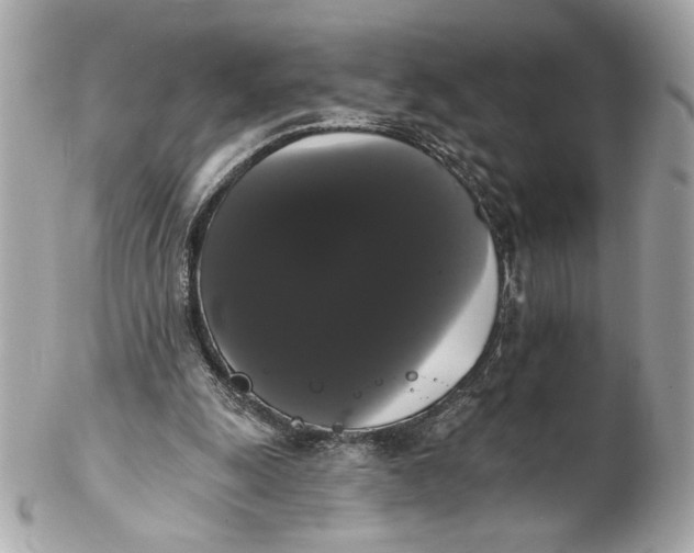 X0000102240247200808151800