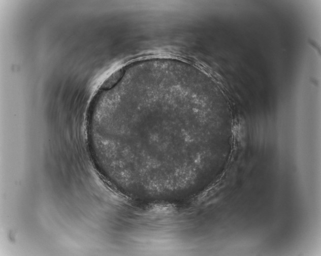 X0000102240248200808151800