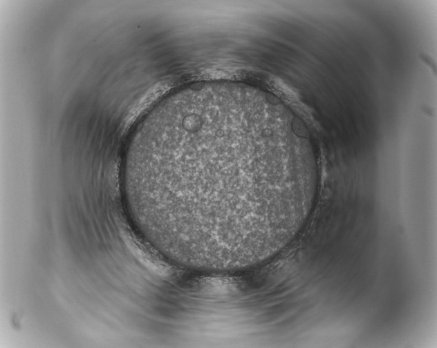 X0000102240250200808151800