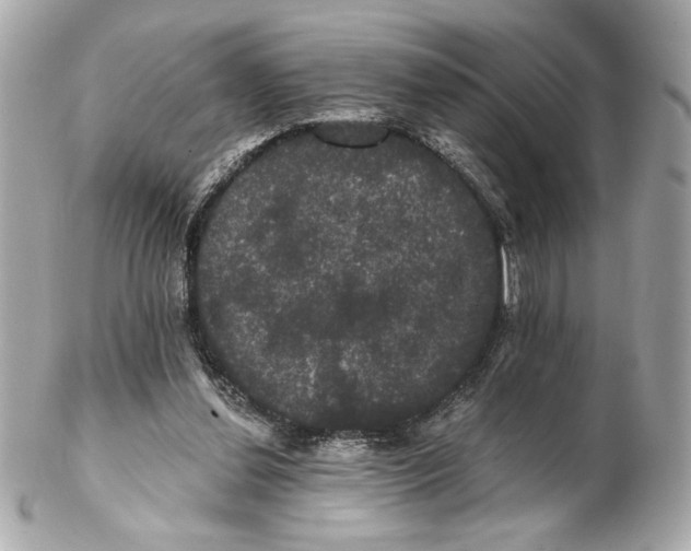 X0000102240252200808151800