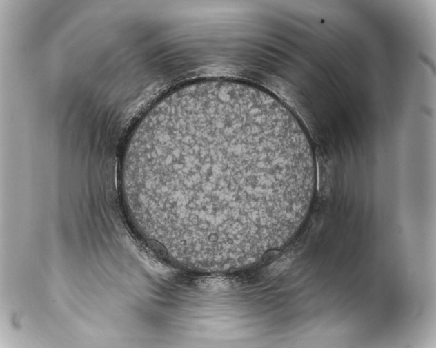 X0000102240253200808151800