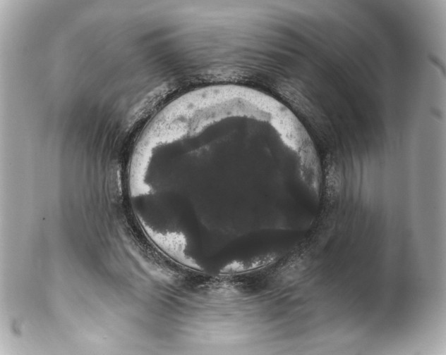 X0000102240254200808151800