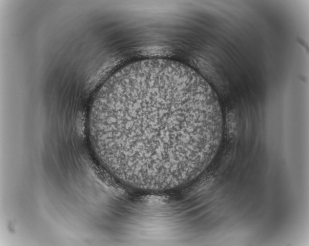 X0000102240255200808151800