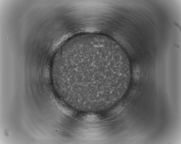 X0000102240256200808151800