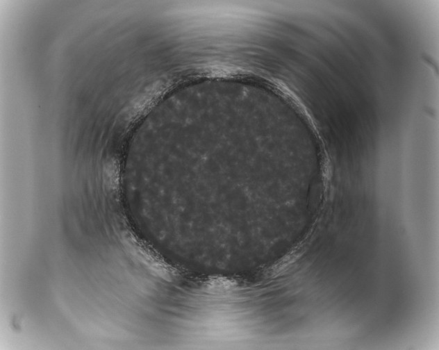 X0000102240257200808151800