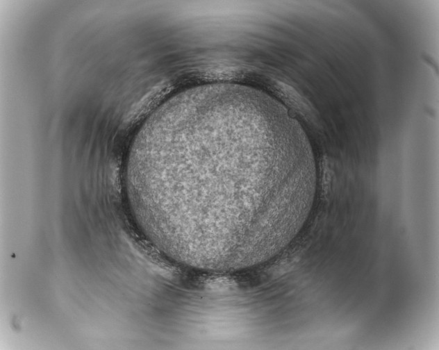 X0000102240258200808151800