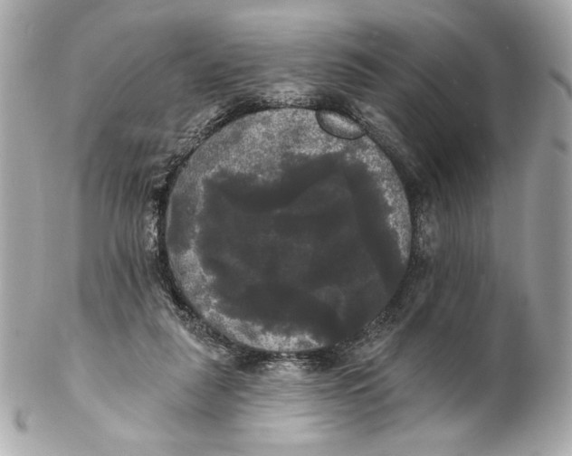 X0000102240259200808151800