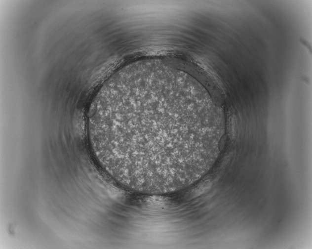 X0000102240261200808151800