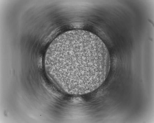 X0000102240262200808151800