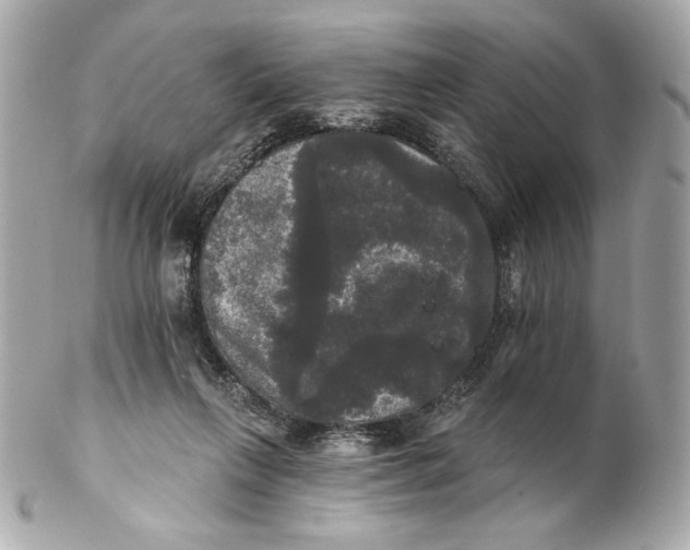 X0000102240263200808151800