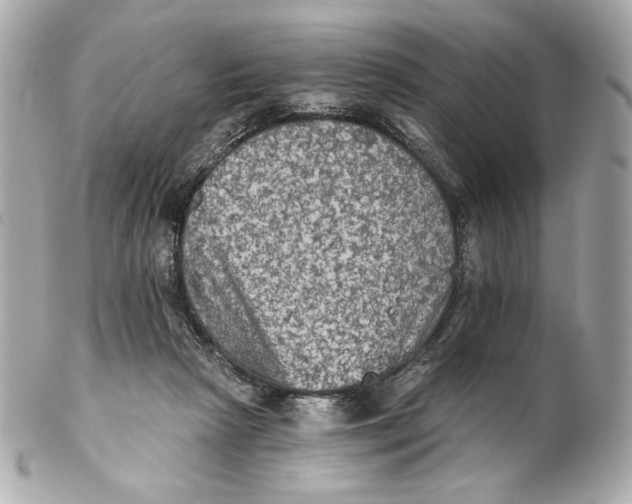 X0000102240265200808151800