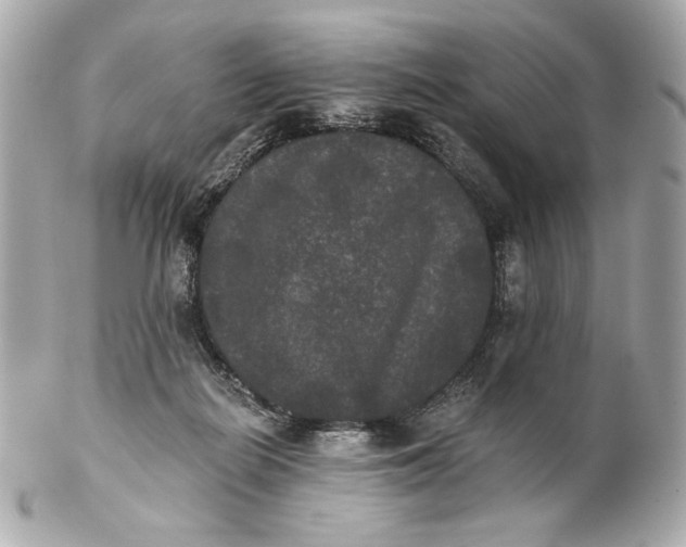 X0000102240266200808151800