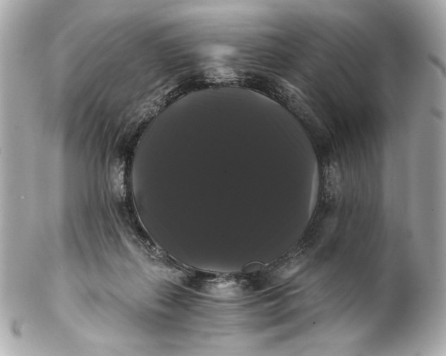 X0000102240267200808151800