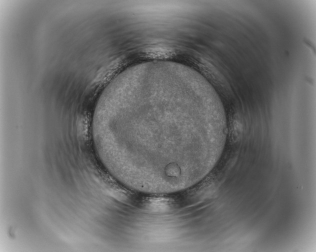 X0000102240268200808151800