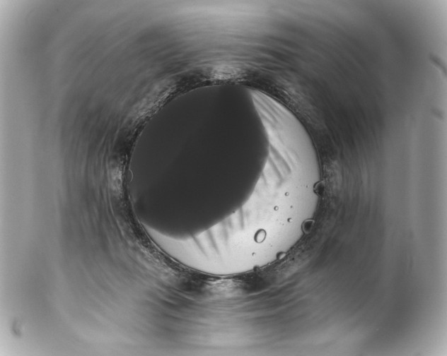 X0000102240269200808151800