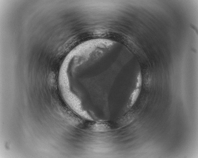 X0000102240270200808151800