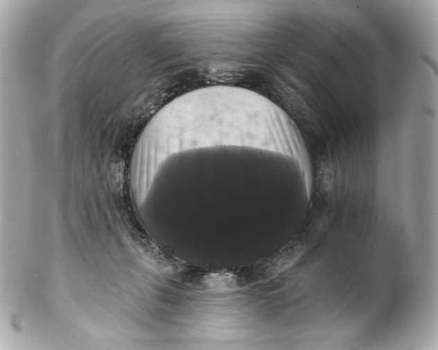 X0000102240271200808151800