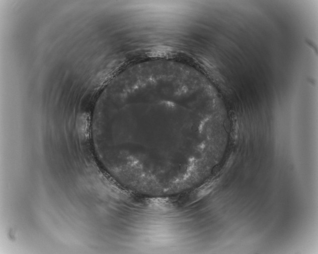 X0000102240273200808151800