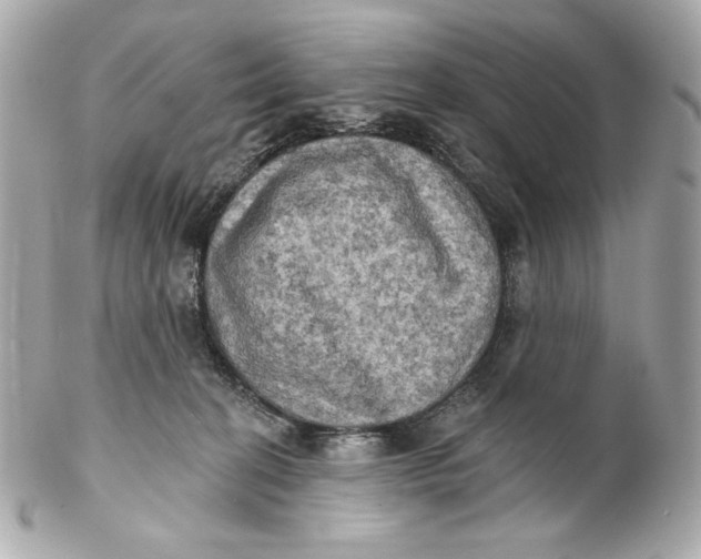 X0000102240274200808151800