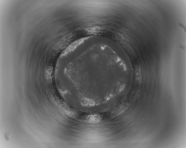 X0000102240275200808151800