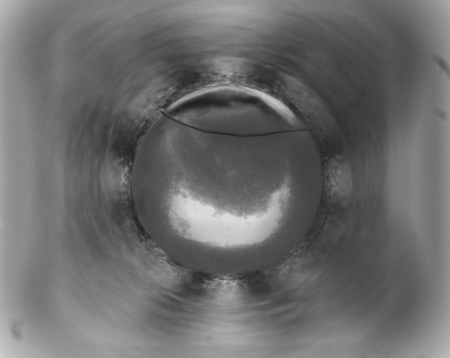 X0000102240276200808151800