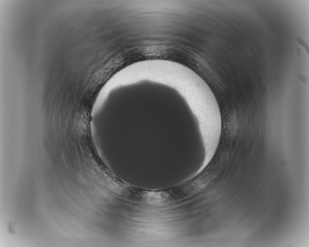 X0000102240277200808151800