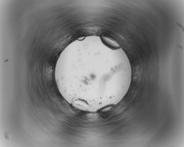 X0000102240279200808151800