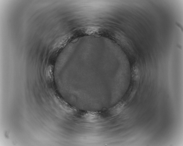 X0000102240280200808151800