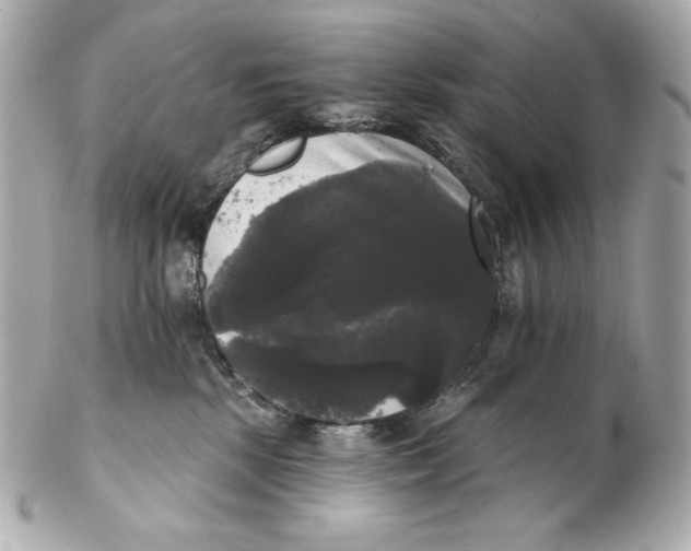 X0000102240281200808151800