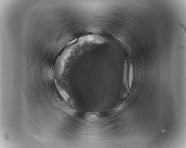 X0000102240285200808151800