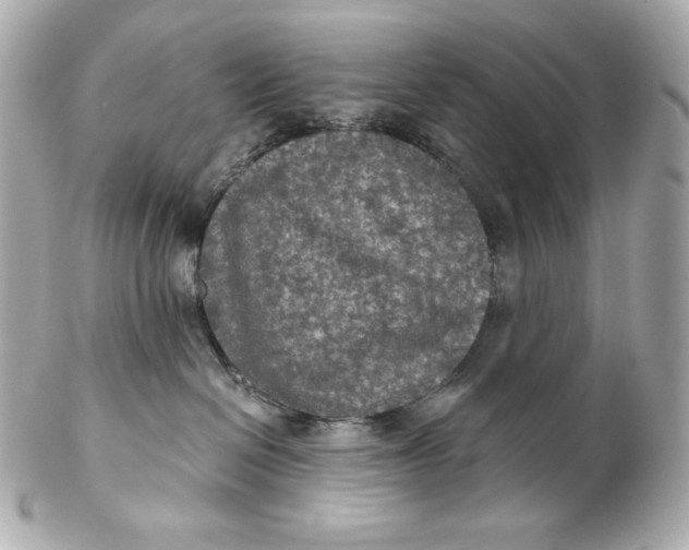 X0000102240286200808151801