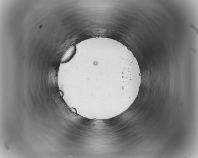 X0000102240287200808151801