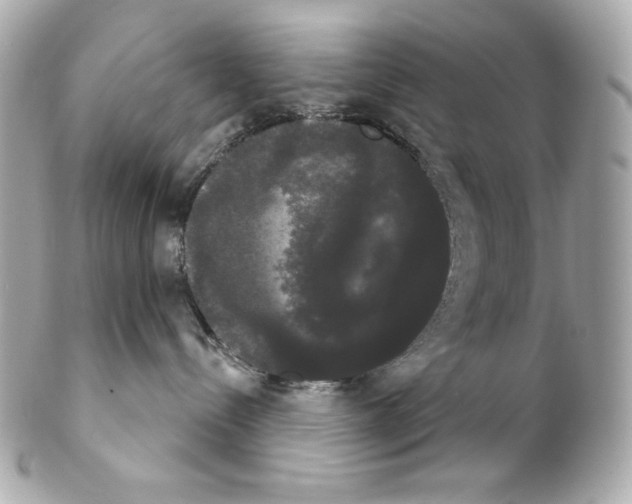 X0000102240288200808151801