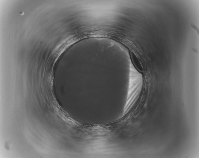 X0000102240290200808151800