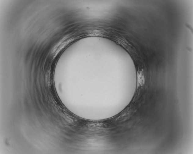 X0000102240291200808151800