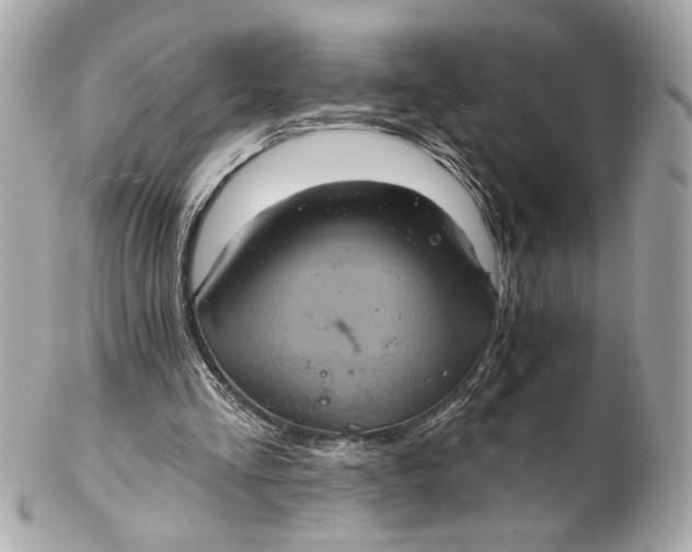 X0000102240293200808151800