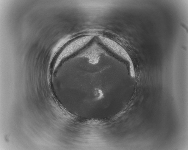 X0000102240294200808151800