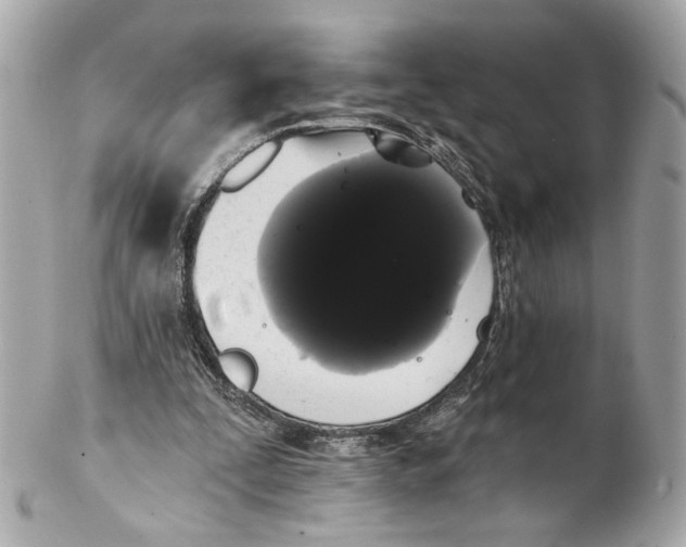 X0000102240295200808151800