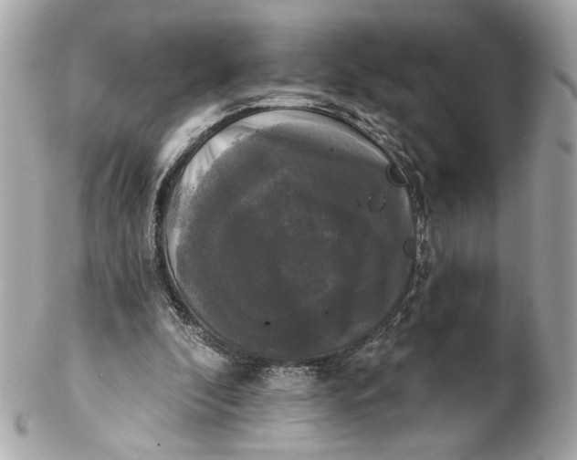 X0000102240296200808151800