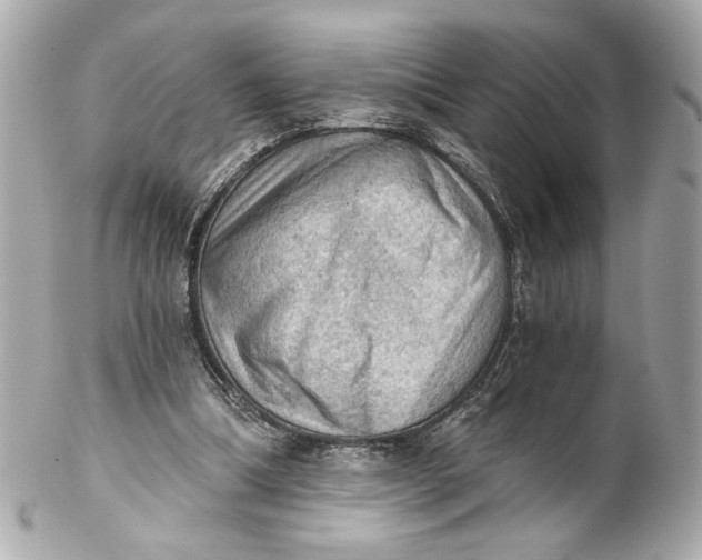 X0000102240298200808151800