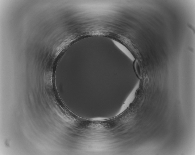 X0000102240299200808151800