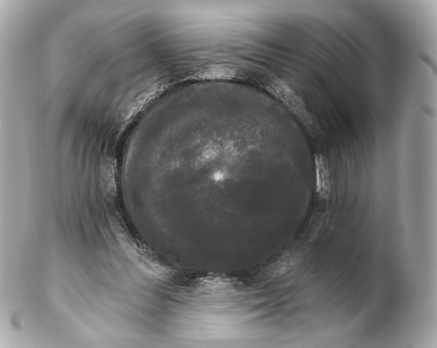 X0000102240300200808151800