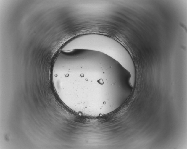 X0000102240301200808151800