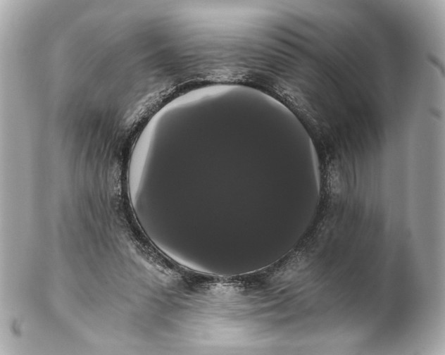 X0000102240303200808151800