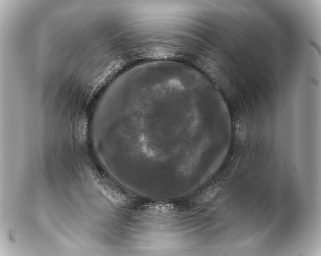 X0000102240304200808151800