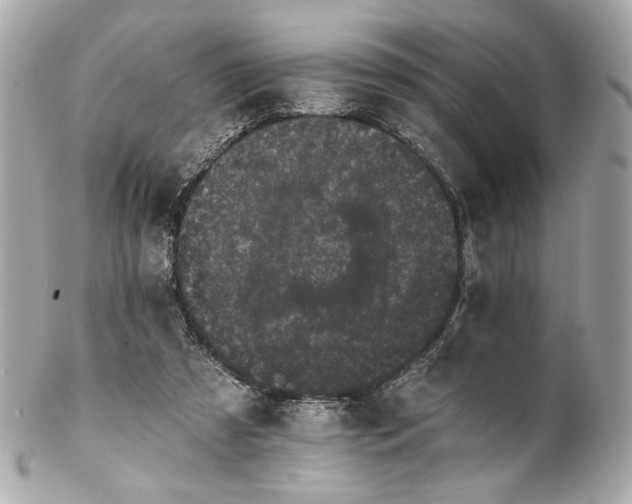 X0000102240305200808151800