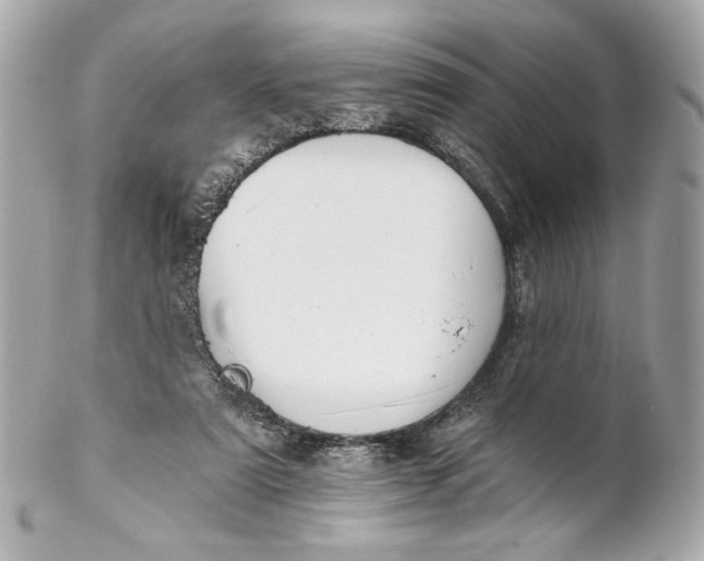 X0000102240307200808151800