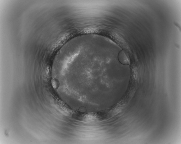 X0000102240308200808151800